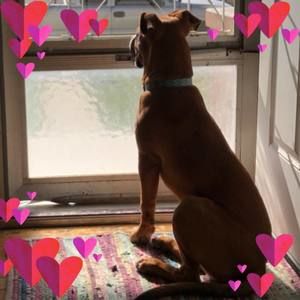 Meet your Posher, Terri